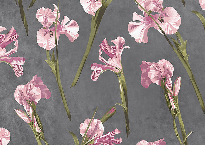 Ted Baker Velvet Wild Iris, Pink Charcoal - Roman Blind - Image 7